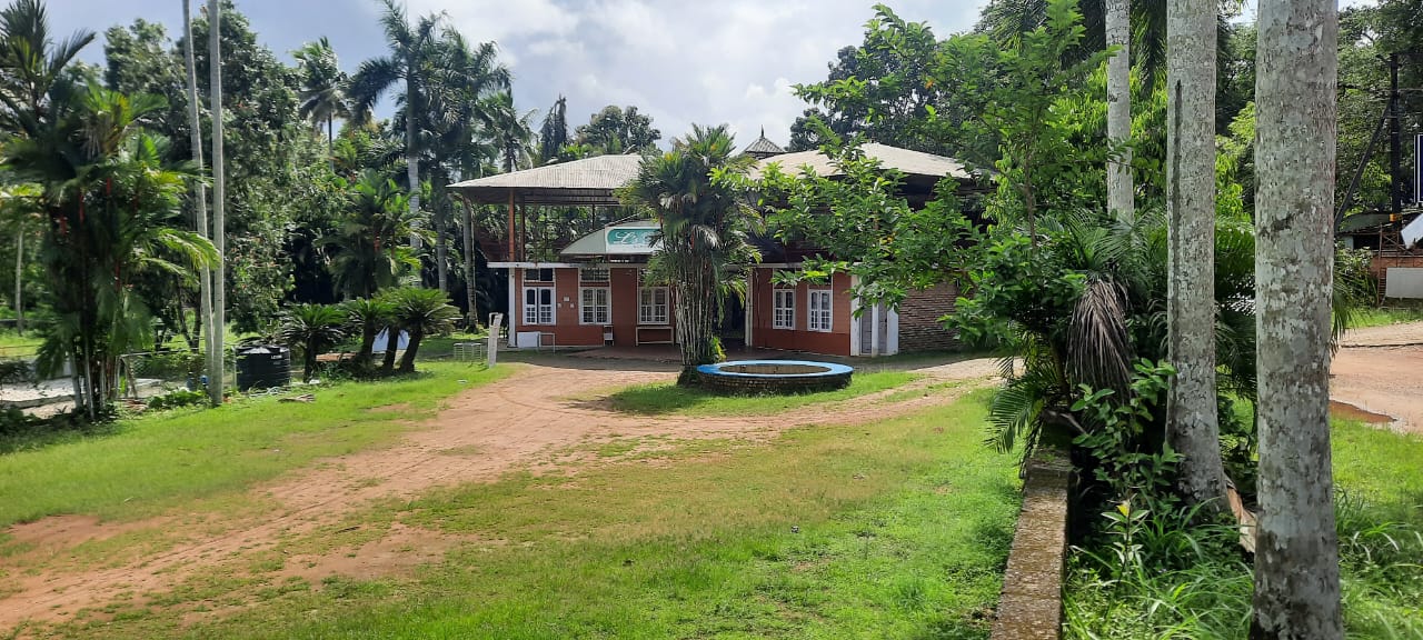PeedsPark club house and grounds