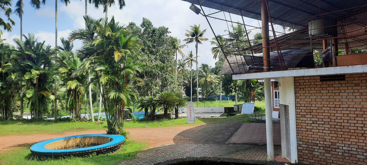 L’s Park garden