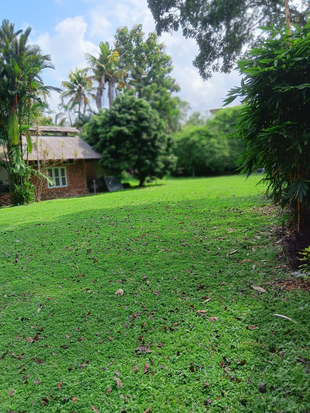 PeedsPark party lawn